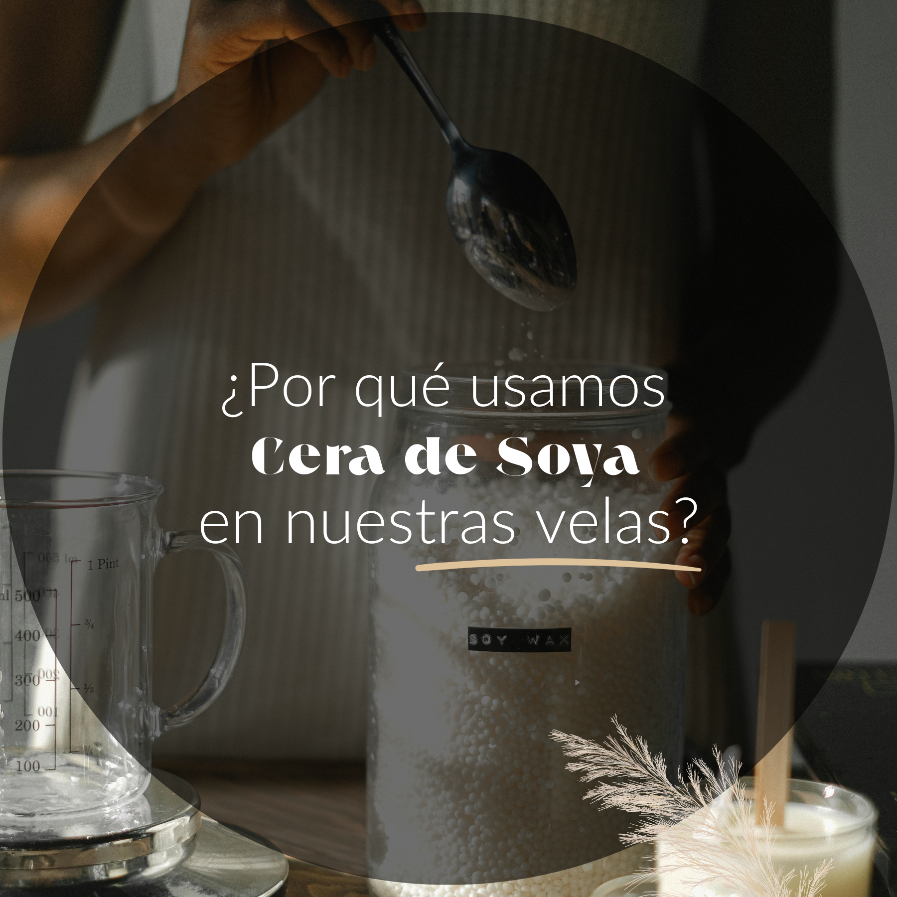 por qué usamos cera de soya