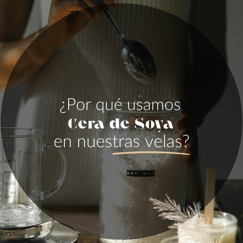 por qué usamos cera de soya
