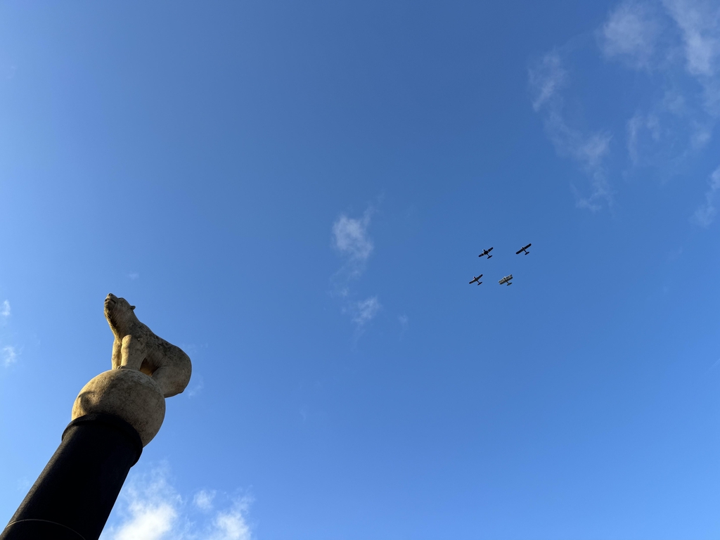 Banner image