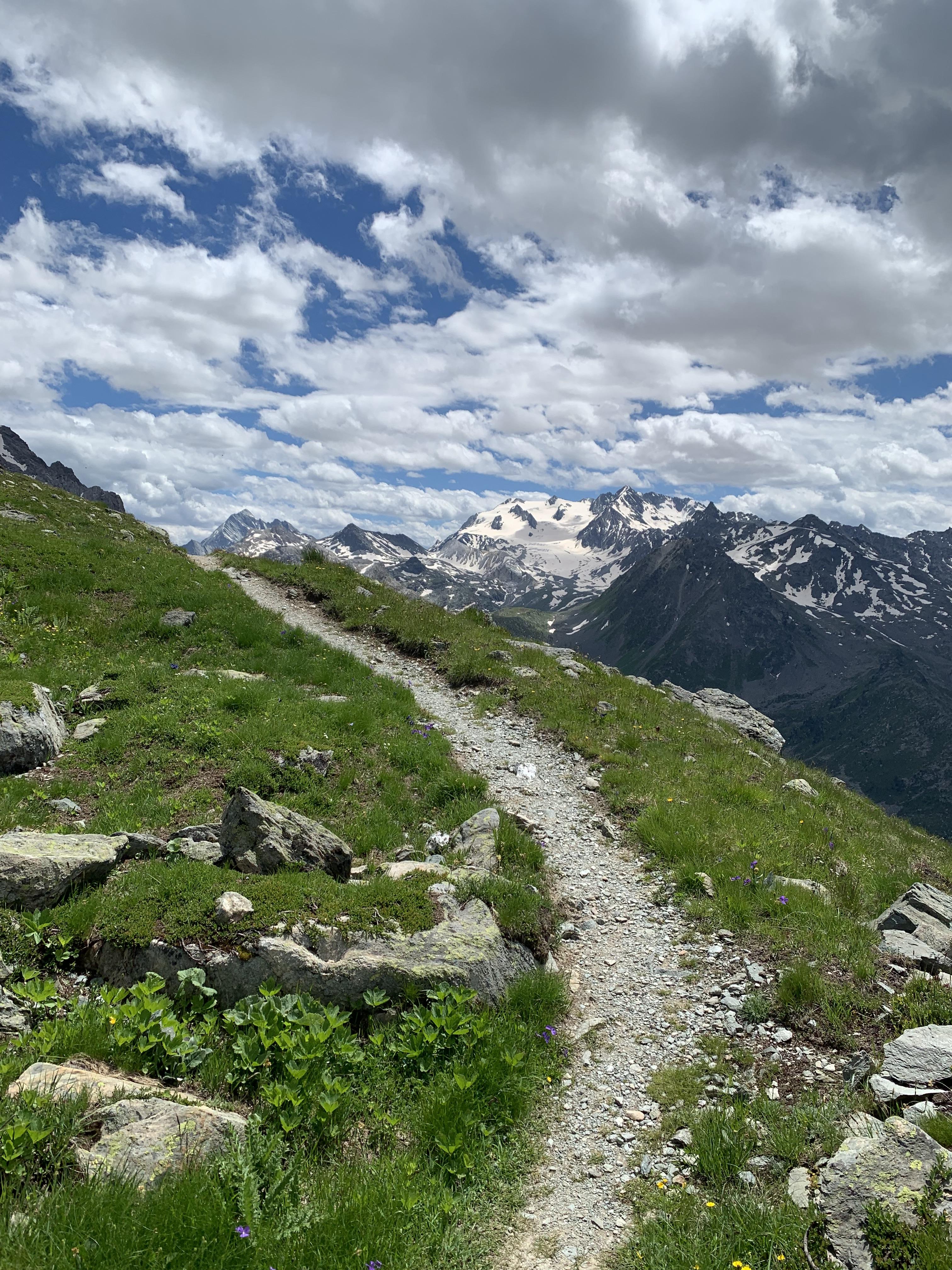 Section image