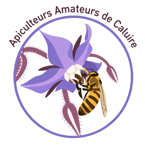 store_logo