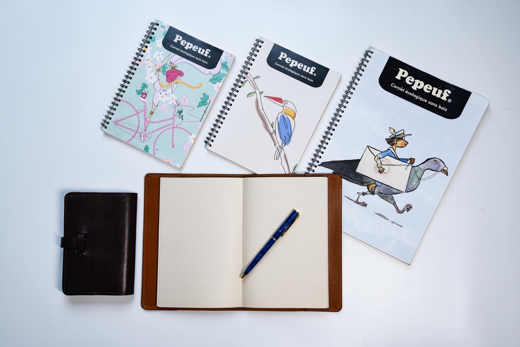 fond pepeuf canne à sucre