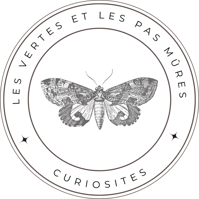 store_logo