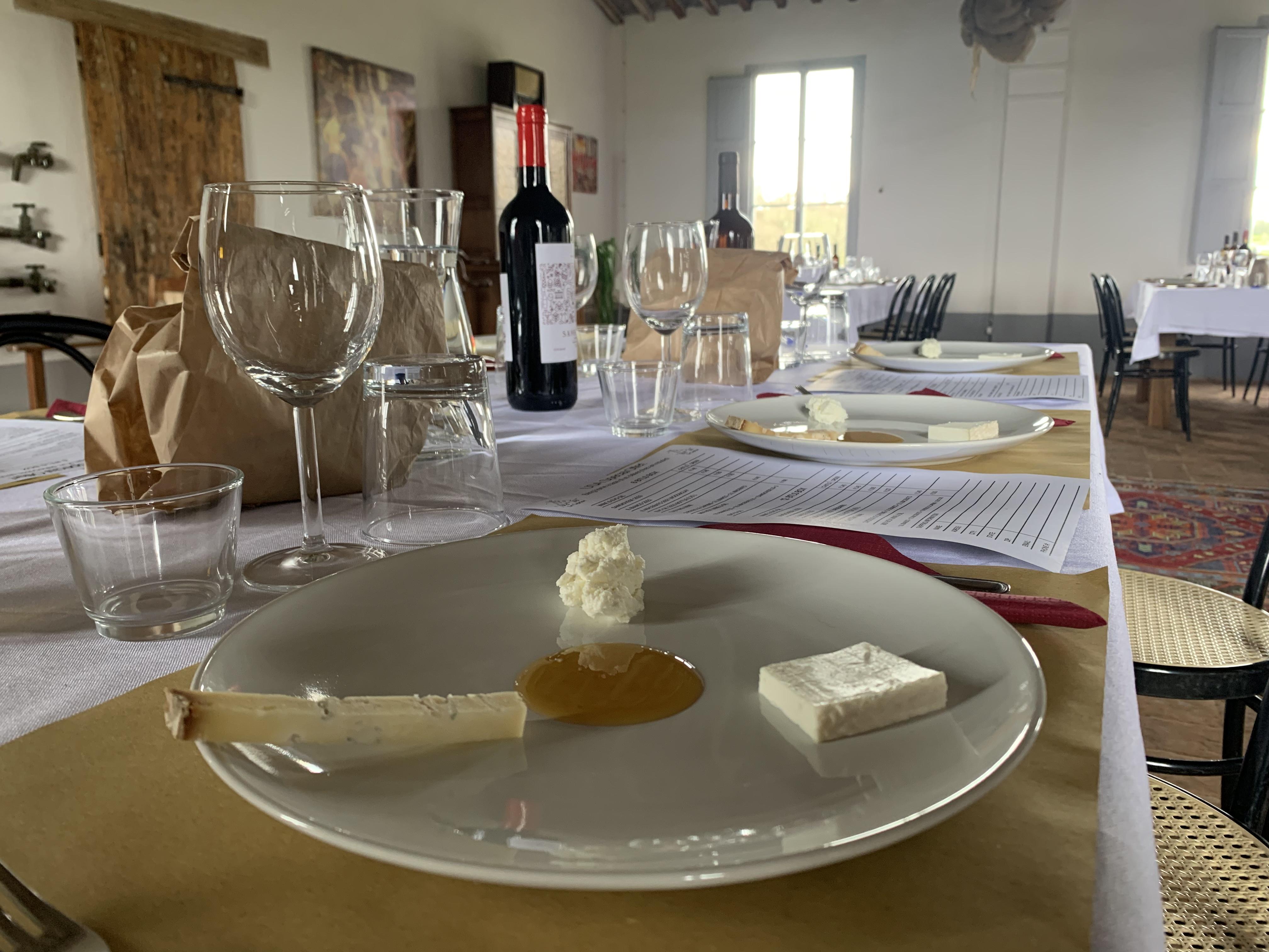 Wine tasting with artisan goat cheese and extra virgin olive oil at Fattoria Le Caprine in Tuscany
