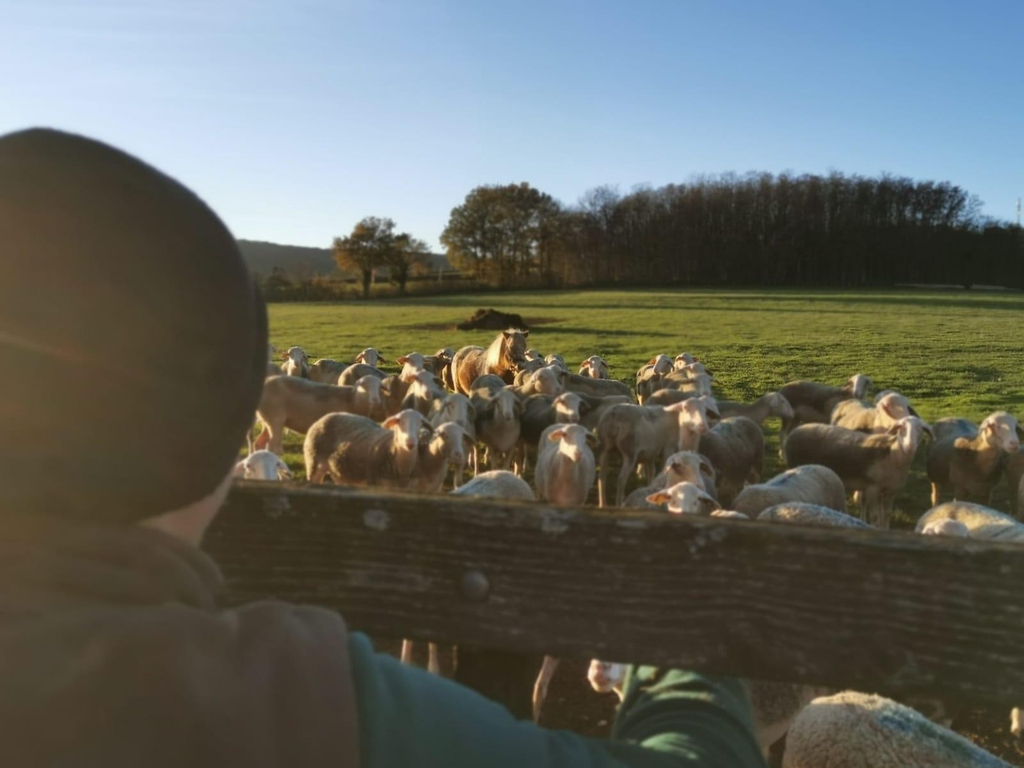 La Bergerie de Santagny