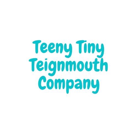Teeny Tiny Teignmouth Company bringing you quirky accessories for all the family!