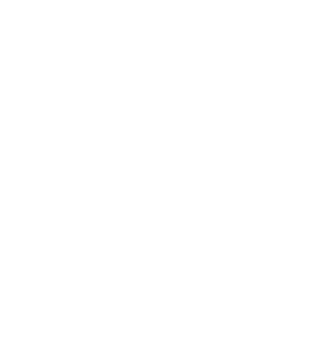 Ambiance mix house Electro accompagné d'un show lumineux a la pointe 