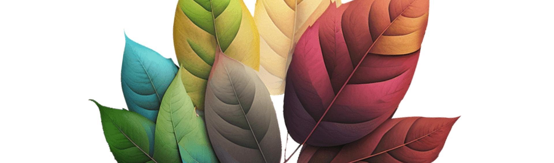 Layered leaves, with colours and leaf veins visible.  This is a close crop of the title page for the Plant & Floral Collection page and has text 'Plant & Floral' written in the centre of the image in white.