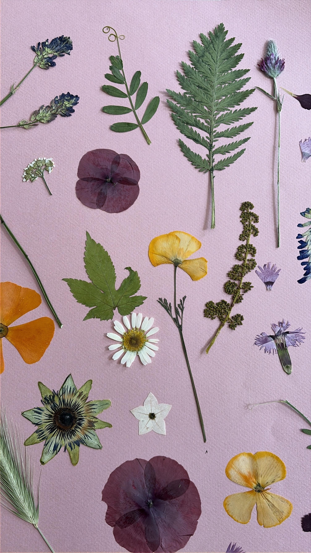 Fleurs de Luce - atelier floral Montpellier 
