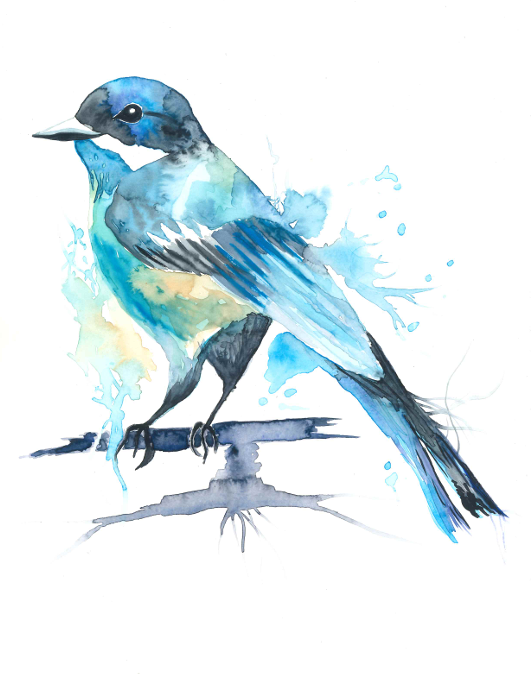 product_list_image_cover