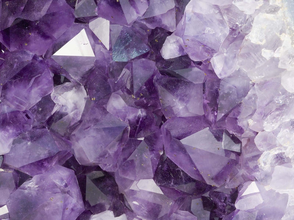 banner_image
