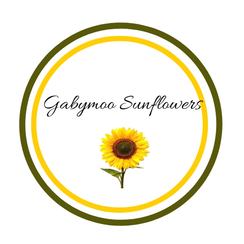 Unique hand painted gifts and homewares all with  asunflower theme