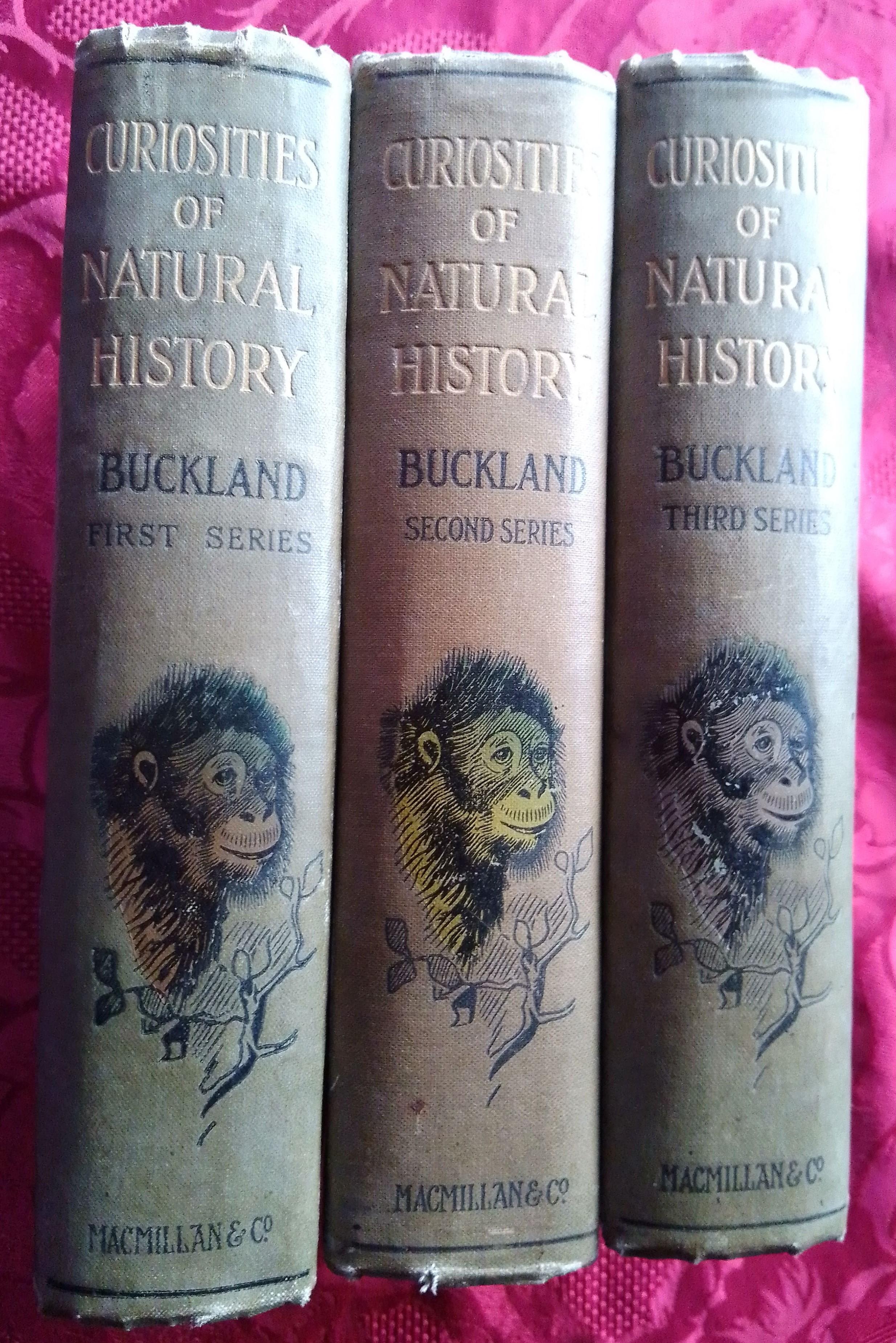 NON FICTION Books