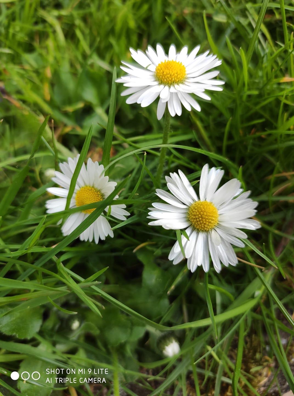 banner_image