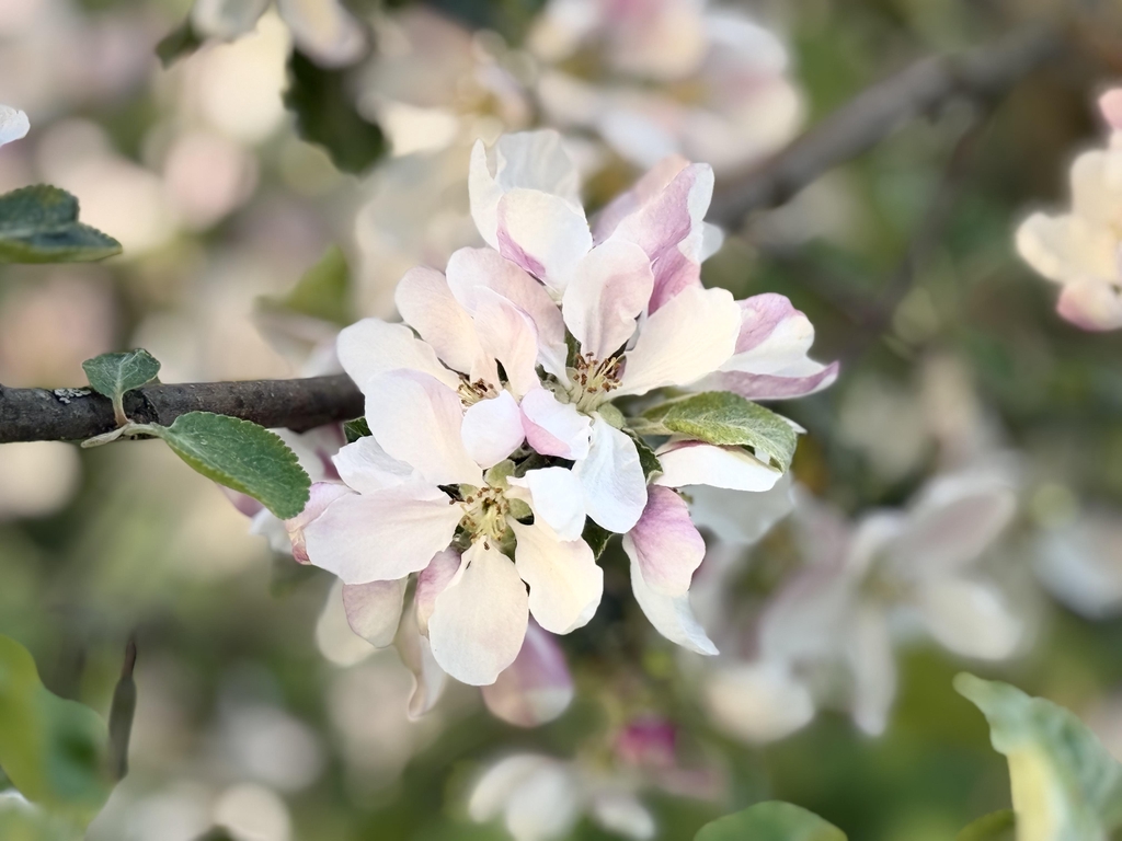 Toivetakomo
Lyhytterapia & Hyvinvointipalvelut