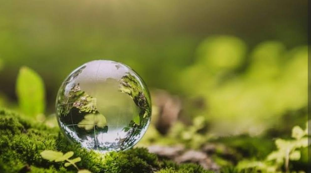 🐝La savonnerie le colibri audomarois fabrique des savons saponifiés à froid à partir d'ingrédients bio ,riche en glycérine naturelle, les savons sont doux pour votre peau et respectueux de la planète 🐦