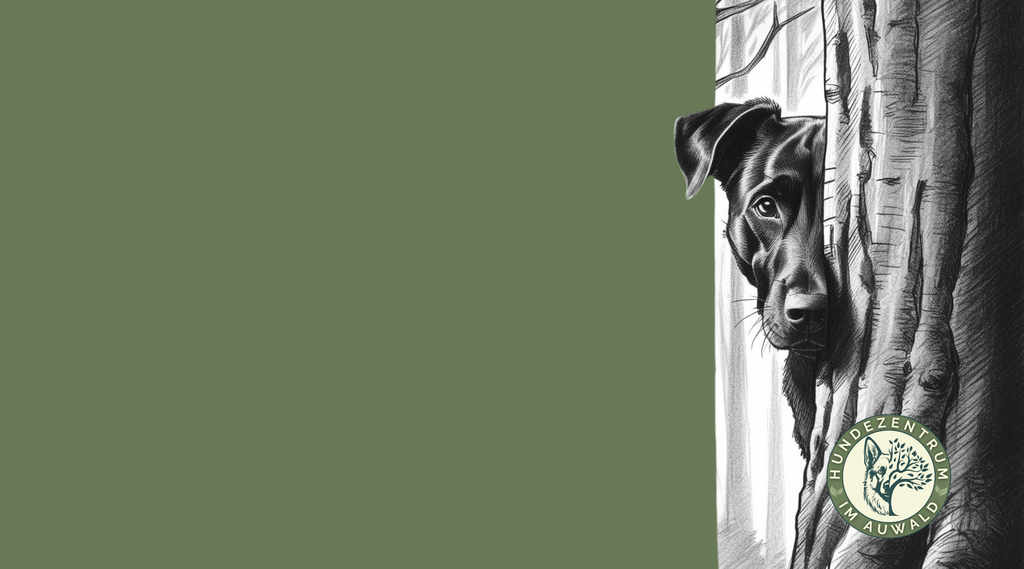 banner_image