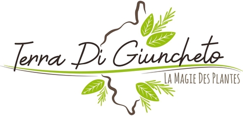 Retrouvez dans notre production tout notre amour pour la nature.
Les plantes aromatiques et médicinales de Terra Di Giuncheto cultivées et sélectionnées par nos soins, vous invitent à un moment de bien-être.
Adrien et Gaëlle
Producteurs de Tisanes 