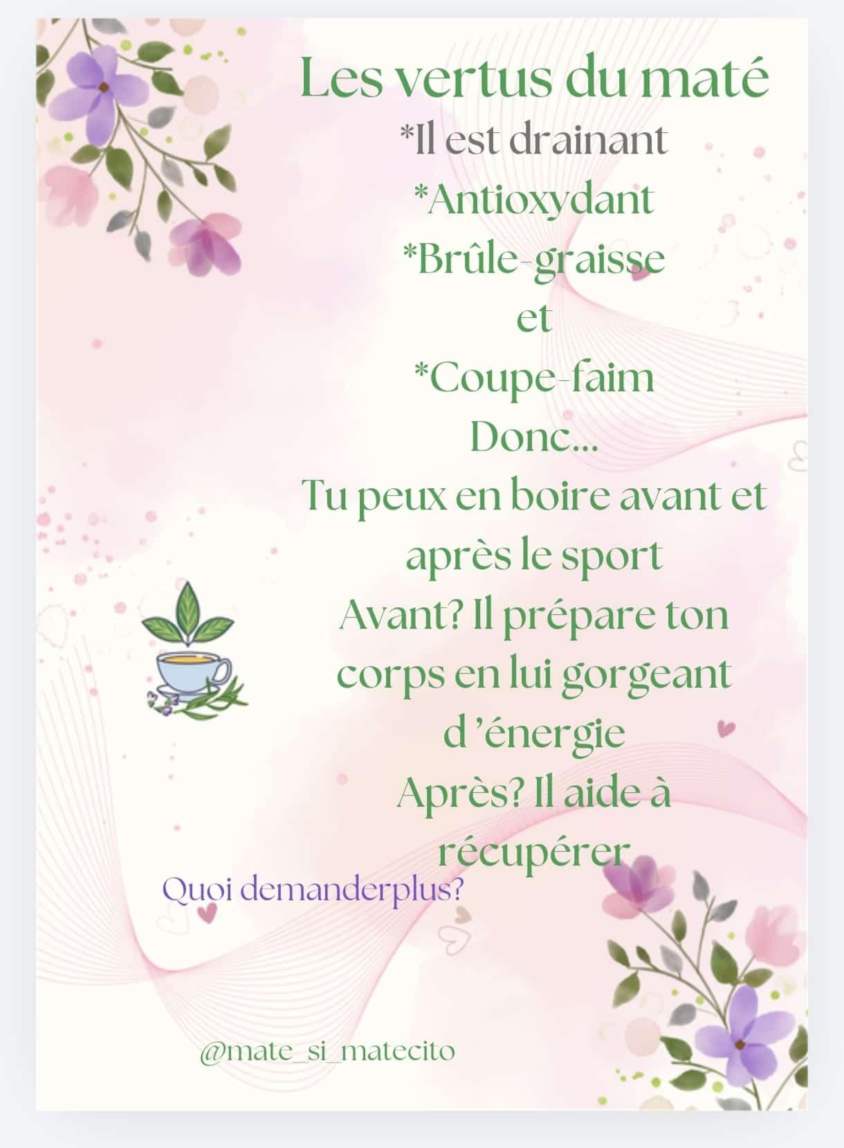 Les vertus du maté