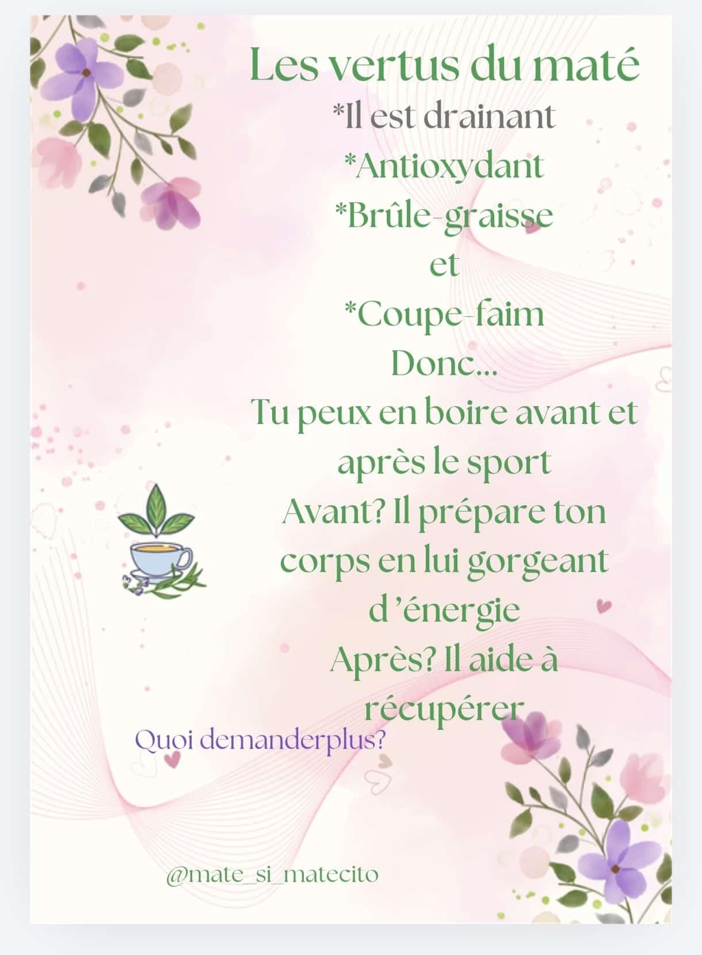 Les vertus du maté 