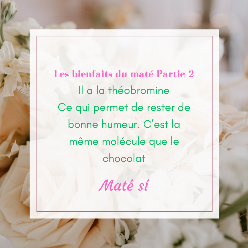 Comme le cacao, le maté a la théobromine qui permet de garder le moral