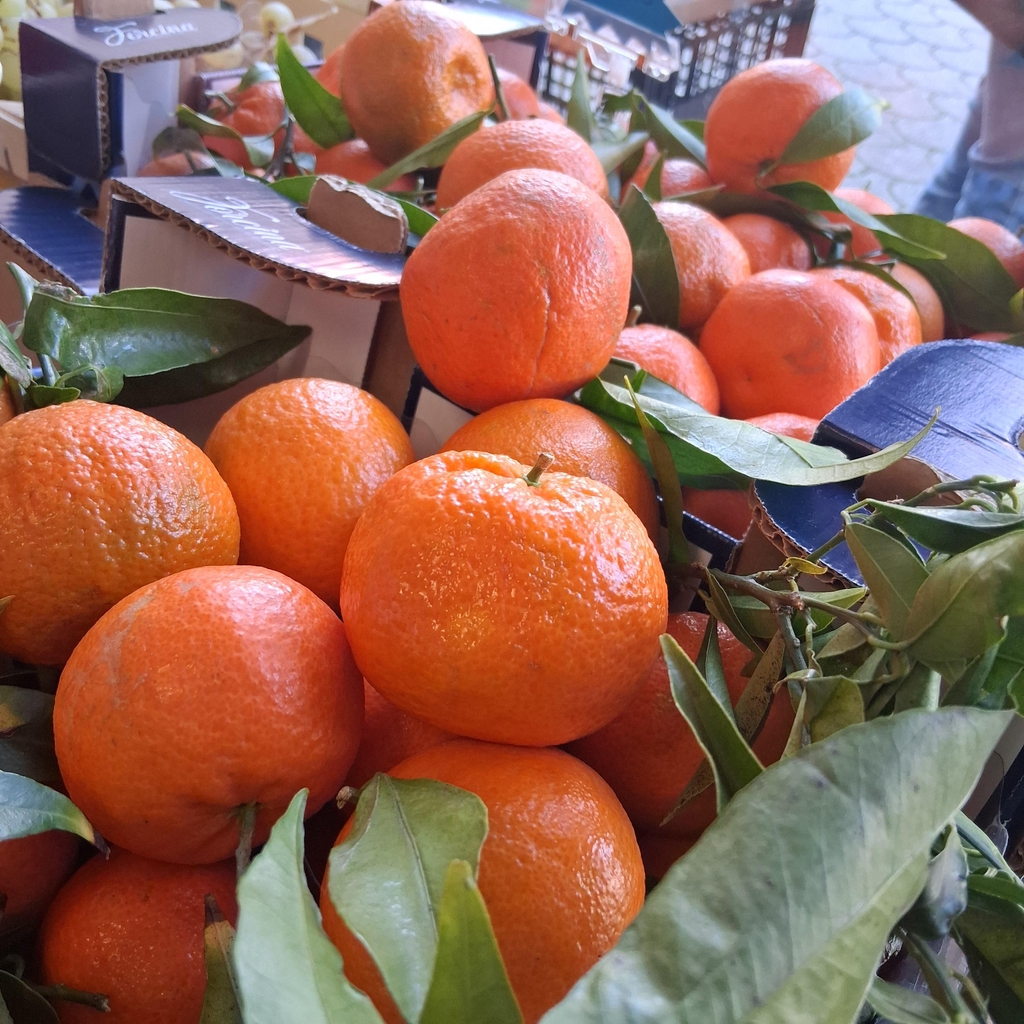 Clementini unici da profumo e sapore di un tempo 