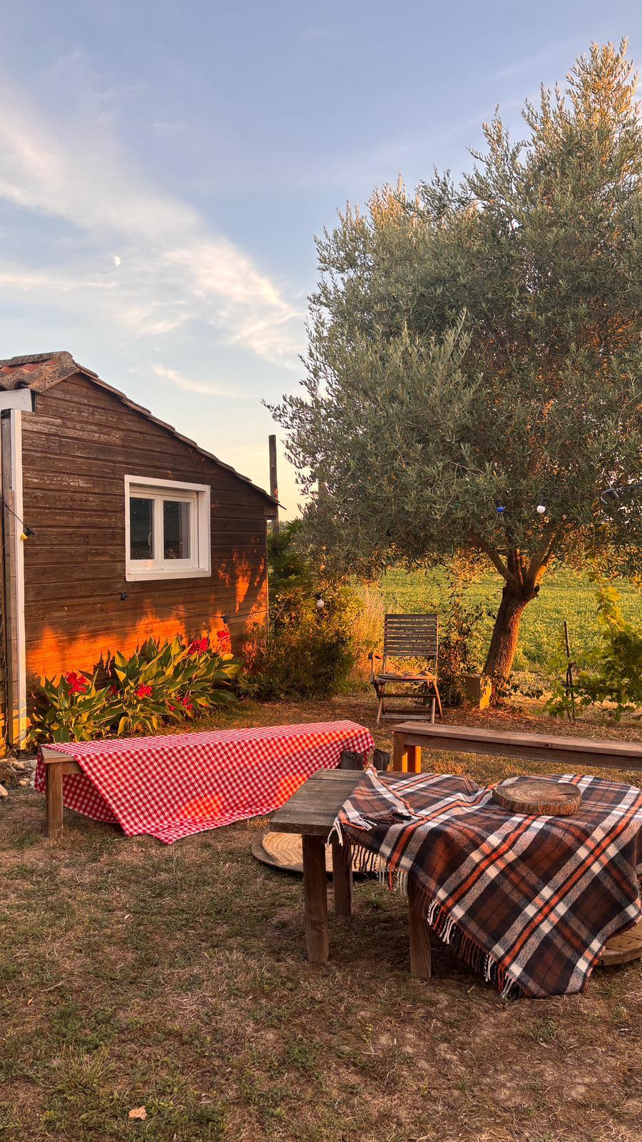 soirée cowboy thebookbreak au coucher de soleil