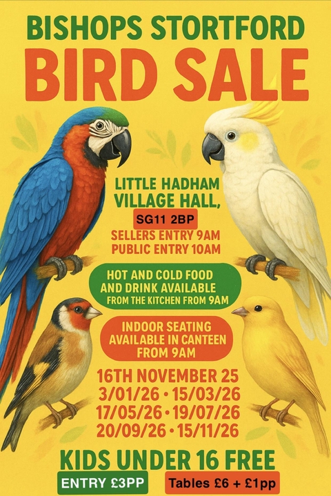 Only The Best For Our Feathered Friends 