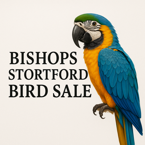 Only The Best For Our Feathered Friends 