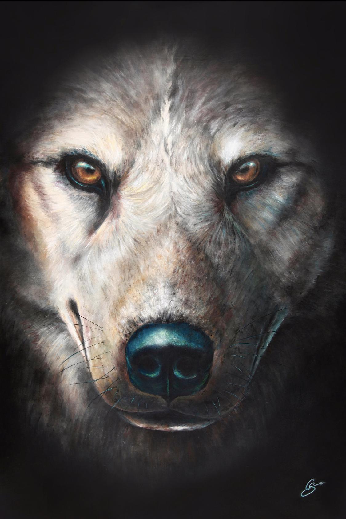 Oeuvre Loup de la collection ombre et lumière de Constance Schroeder artiste peintre animalière contemporaine francaise. Art Animalier,
Peinture Tableaux portraits d'animaux faune sauvages France