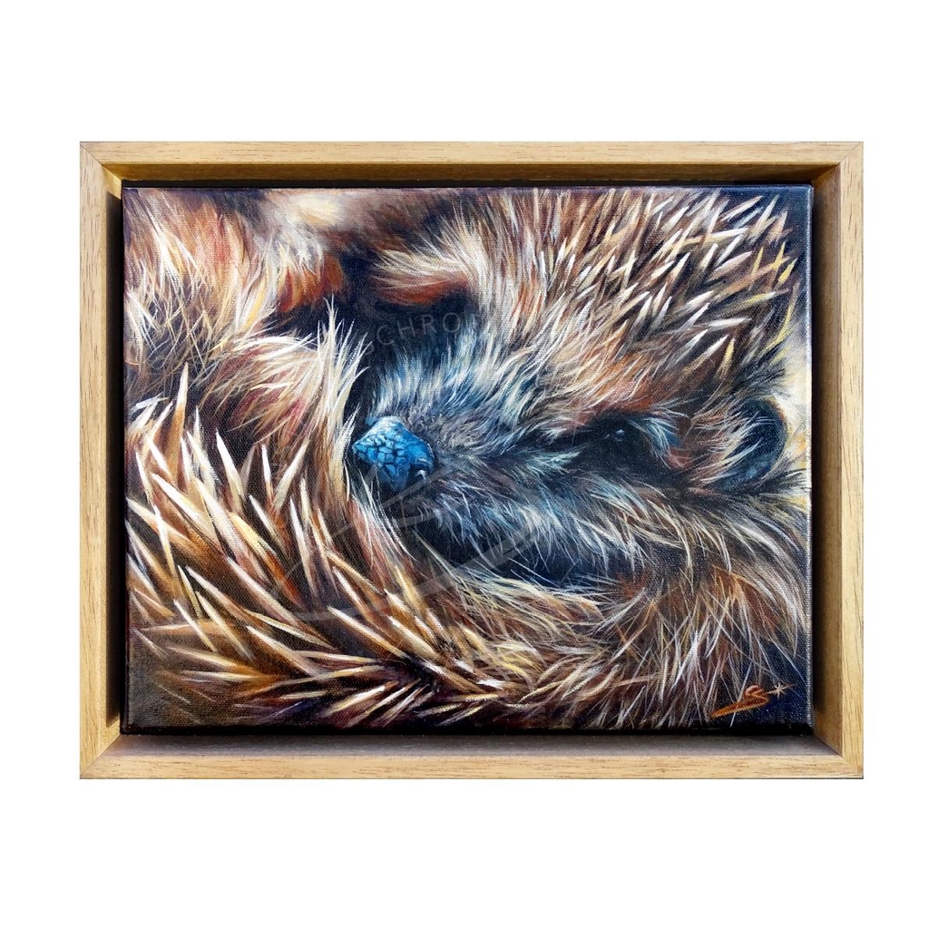 Peinture portrait d'un herisson en boule art animalier acrylique Constance Schroeder artiste