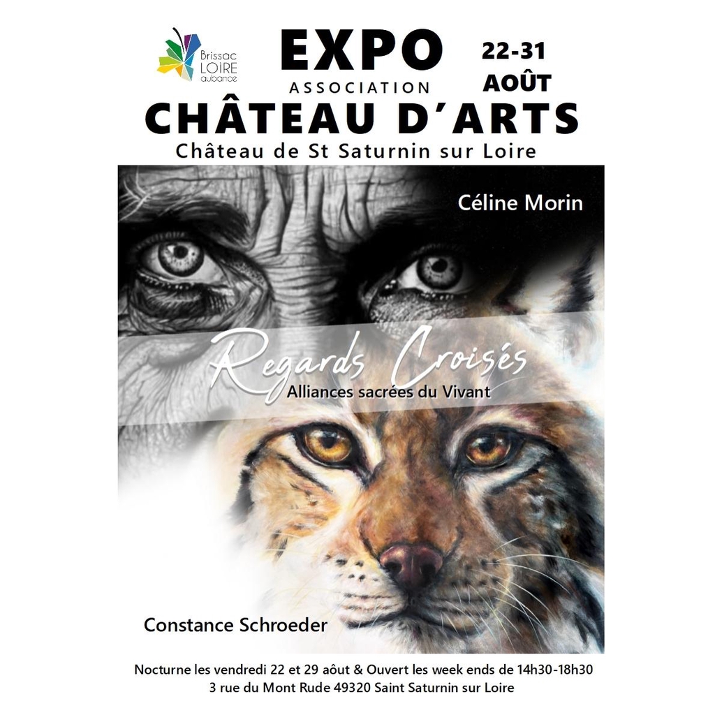 exposition saint saturnin sur loire chateau d'arts constance schroeder
