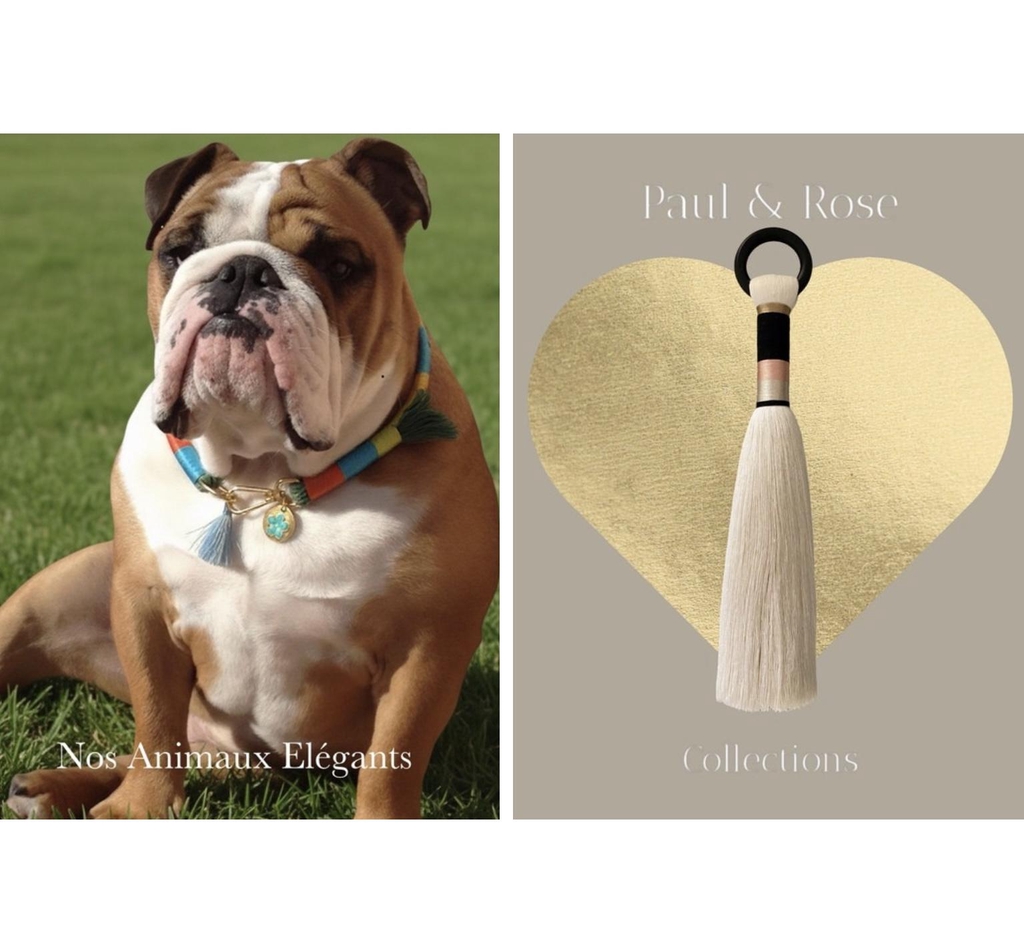 Création artisanale de colliers bijoux pour chiens/chats et de décorations contemporaines en macramé.