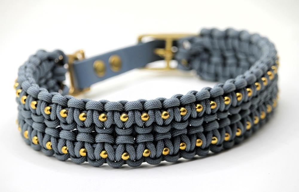 Pour les chiens soucieux de leur look