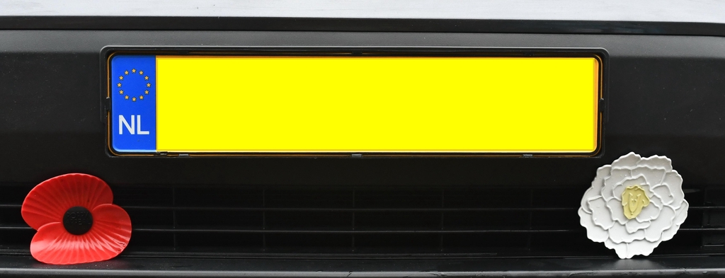 Banner image