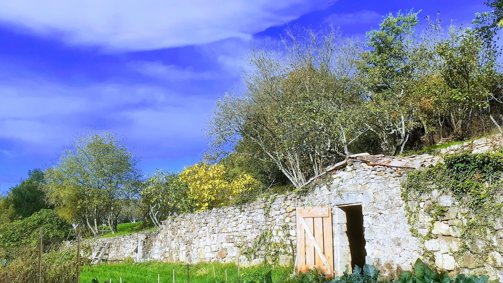 Produits bio direct producteur