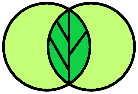 La Mandaline, producteur de produits bio en Grand Orb dans le Sud de la France