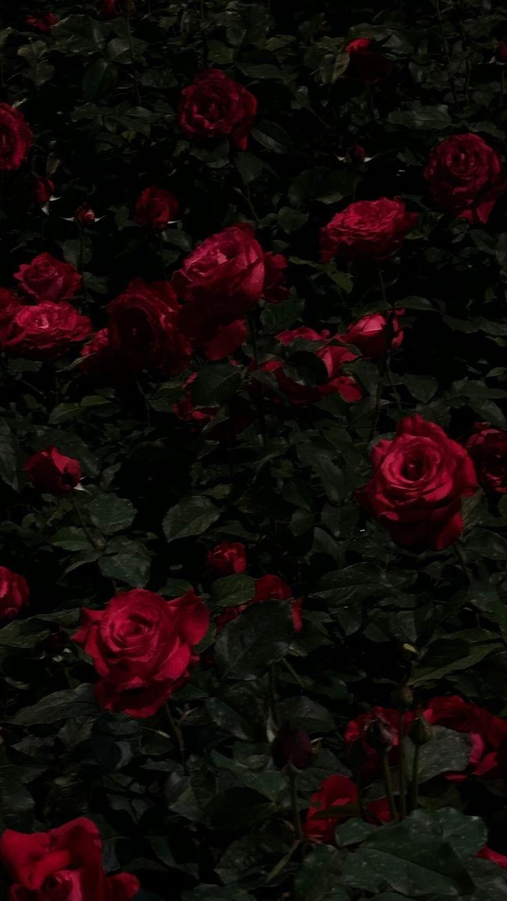 Création artisanale de bougies et fondants parfumés