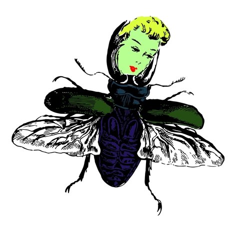 Shop items by the artist Jenny Hood (Corvid Eyes).