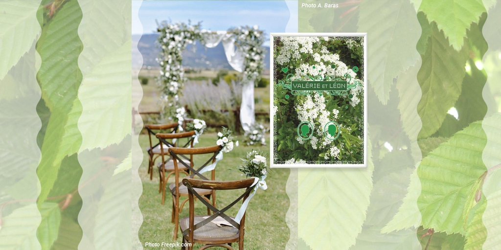 cérémonies, jardins, parcs, plage, mariage, fêtes, fleurs, tableaux