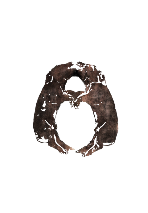 Avoir toutes les cartes en main pour mieux gérer sa vie.