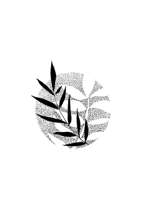 store_logo