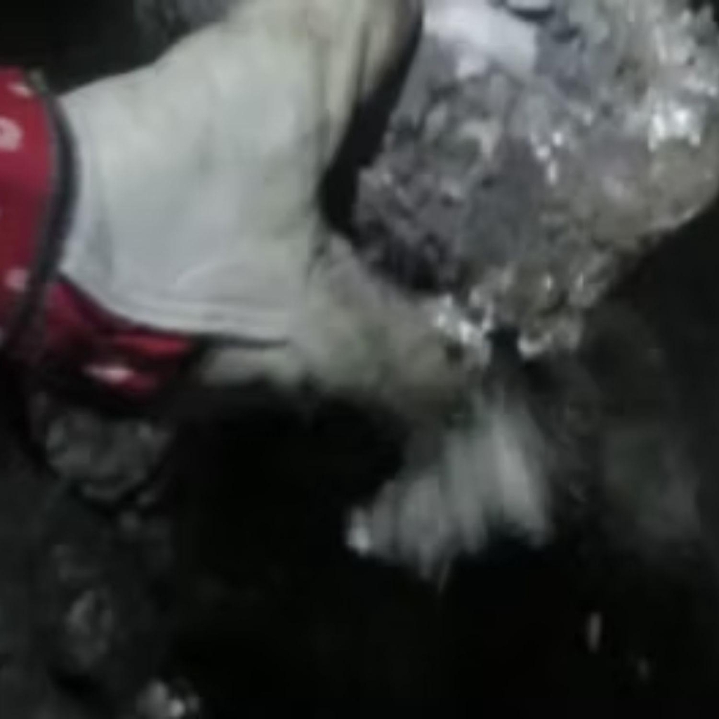 The Alchemy of Smoke