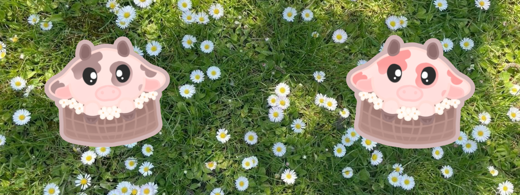 Banner image