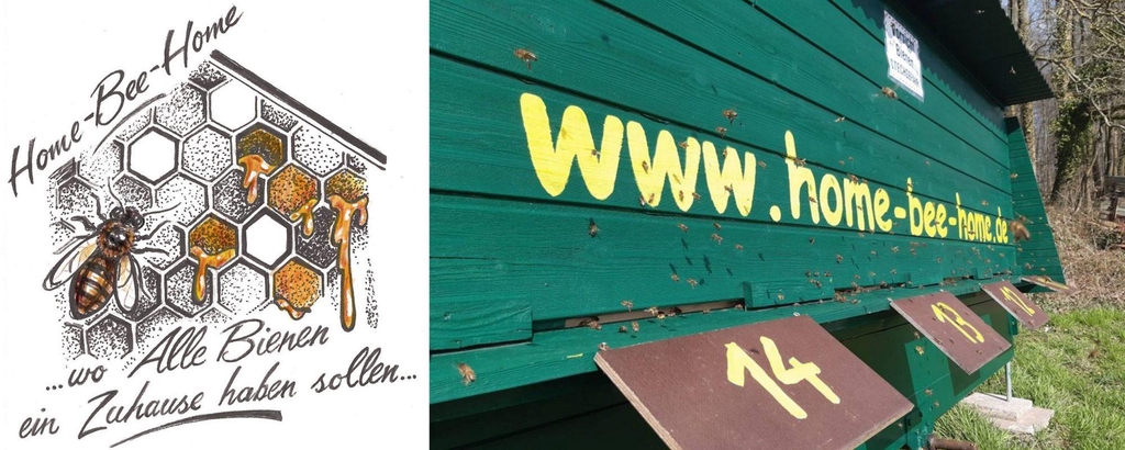 Home Bee Home
... wo ALLE Bienen ein Zuhause haben sollen ...
