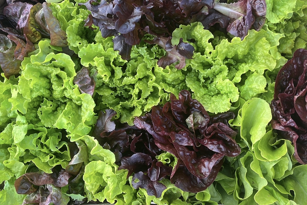 banner_image