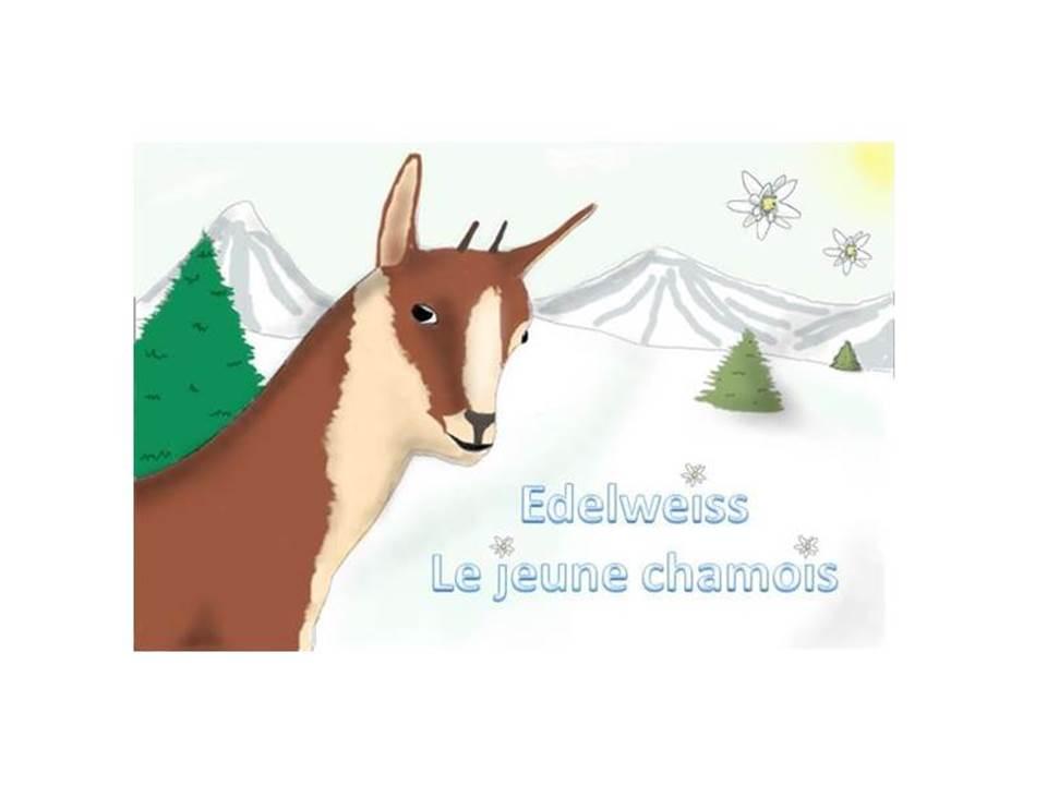Edelweiss, le jeune chamois