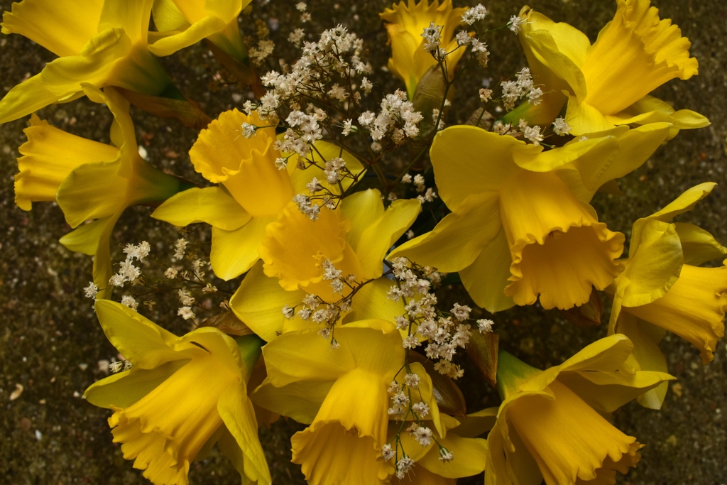 banner_image