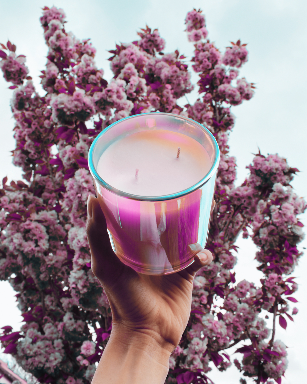banner_image