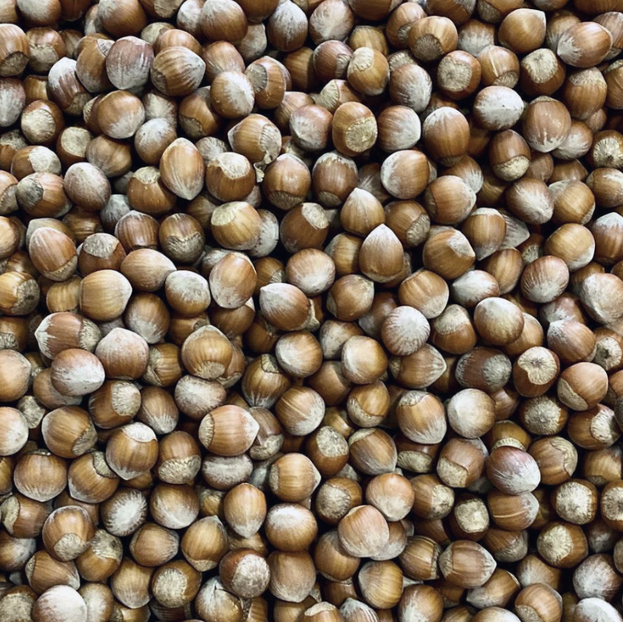 Des noisettes du Lot-et-Garonne de la Maison Martinet